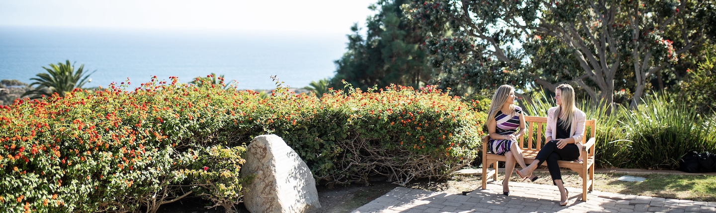 students sitting on campus overlooking ocean